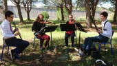 Quatuor du conservatoire de musique de Nîmes